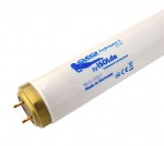 Cleo Performance S zonnebanklamp 80W